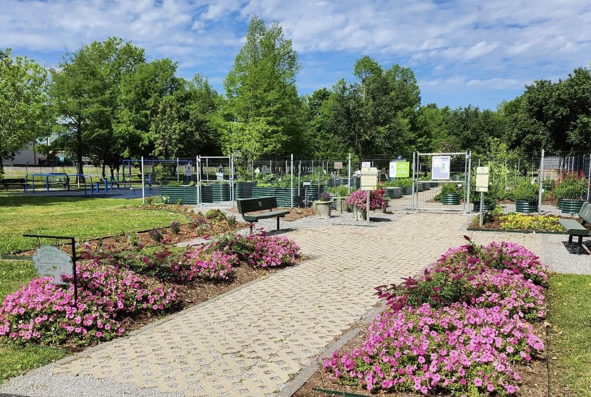 Projects Master Gardeners of Greater New Orleans