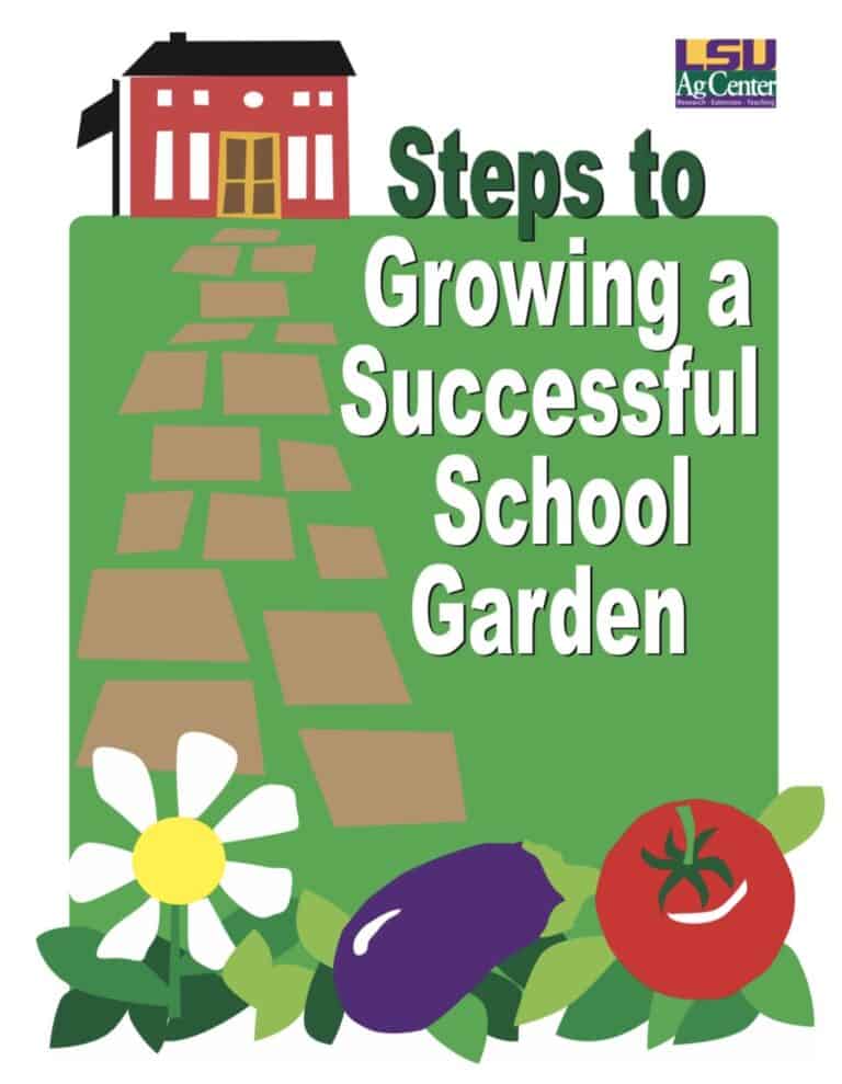 schoolgarden_Read more about In Bloom Beautyberry